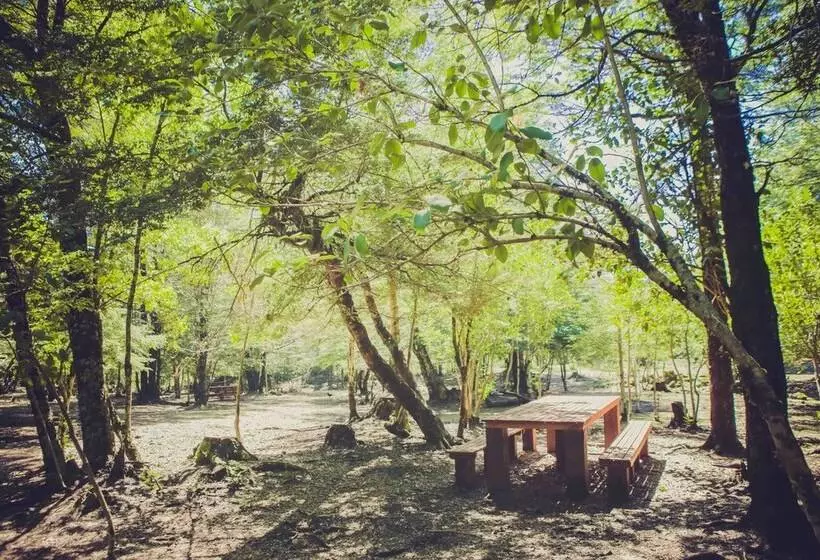 Llaima Camp