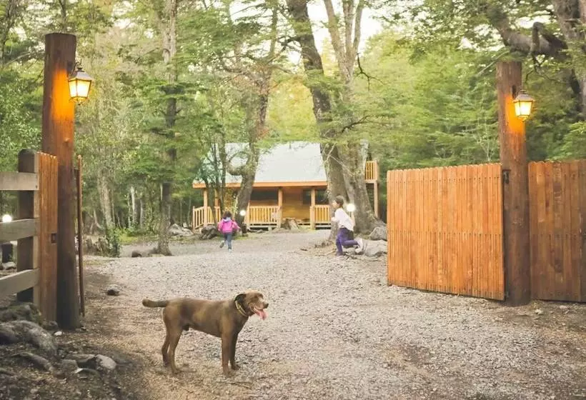 Llaima Camp
