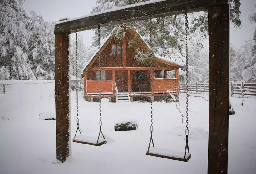 Llaima Camp