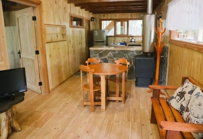 Llaima Camp