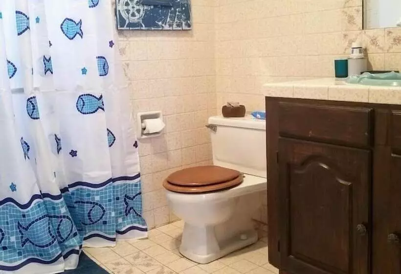 ペンション Baja Bed & Breakfast