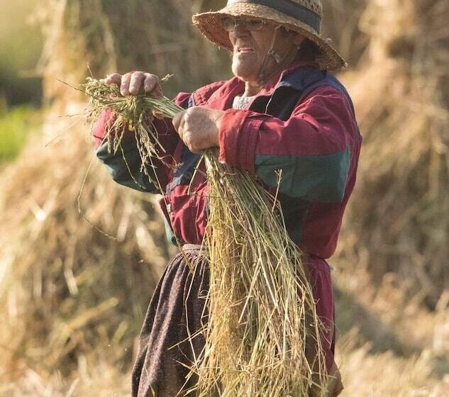 Пансион Beach House Babylon
