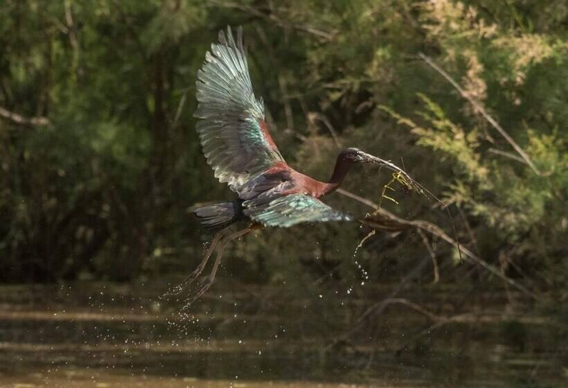 Пансион Beach House Babylon