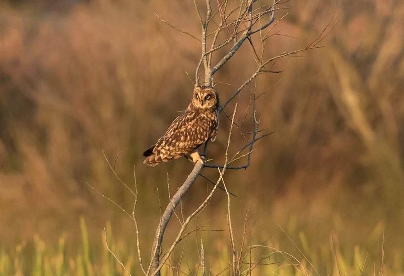 Пансион Beach House Babylon