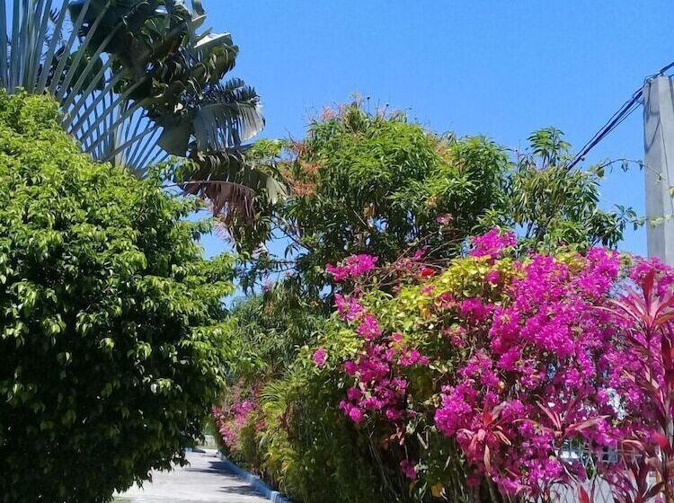 پانسیون Palm Tree Guest House