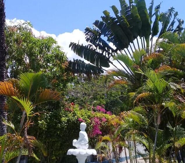 پانسیون Palm Tree Guest House