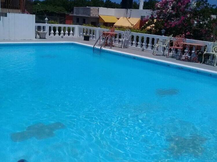 پانسیون Palm Tree Guest House