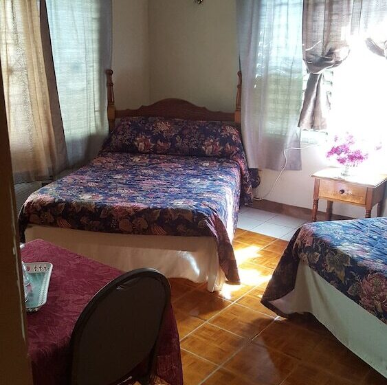 پانسیون Palm Tree Guest House