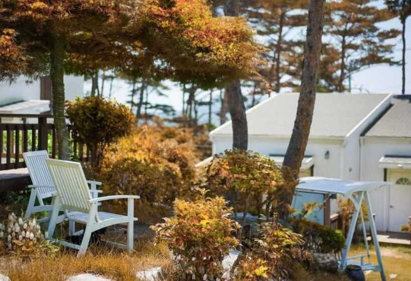 Taean Solmi Label Pension