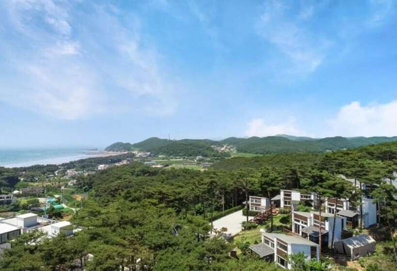 Taean Solmi Label Pension
