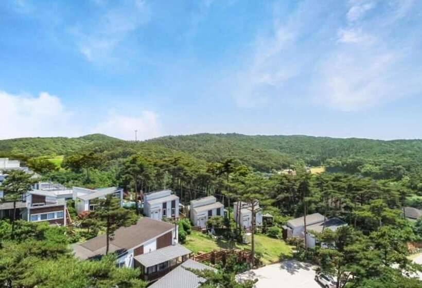 Taean Solmi Label Pension