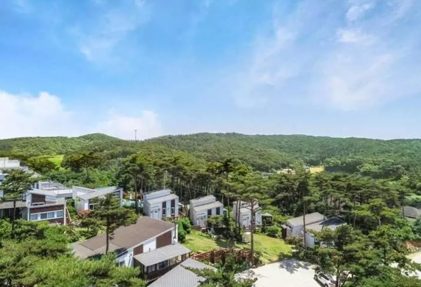 Taean Solmi Label Pension