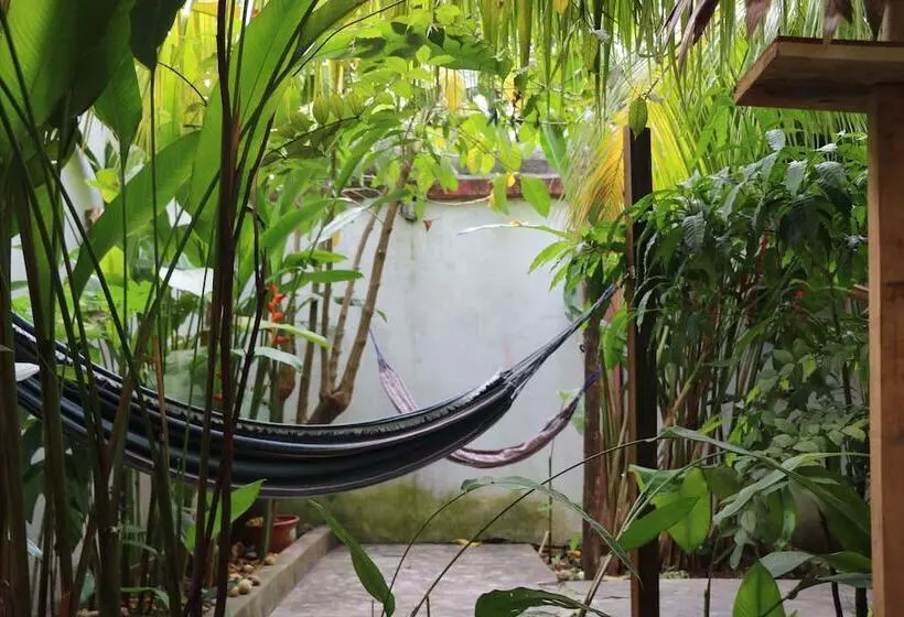 The Amazon Within Hostel