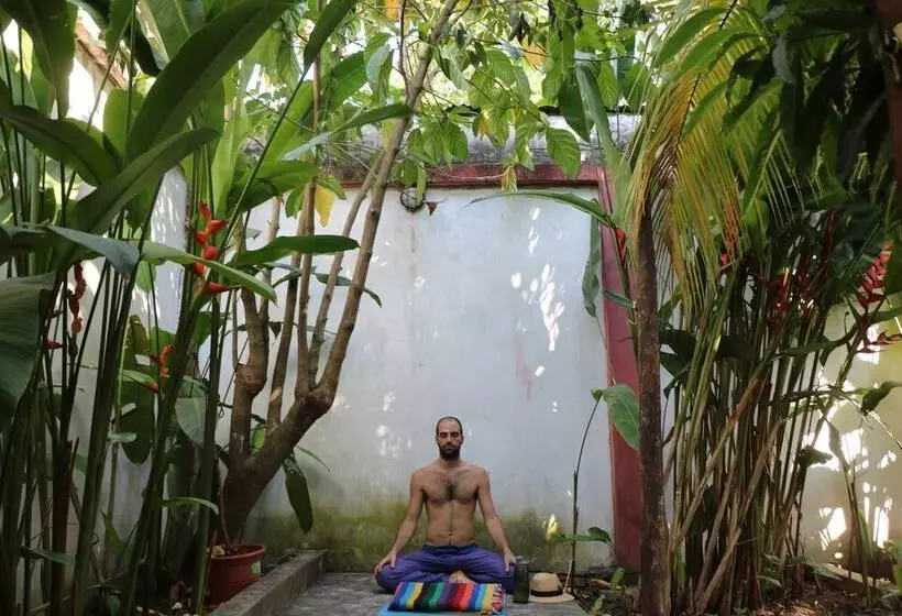 The Amazon Within Hostel