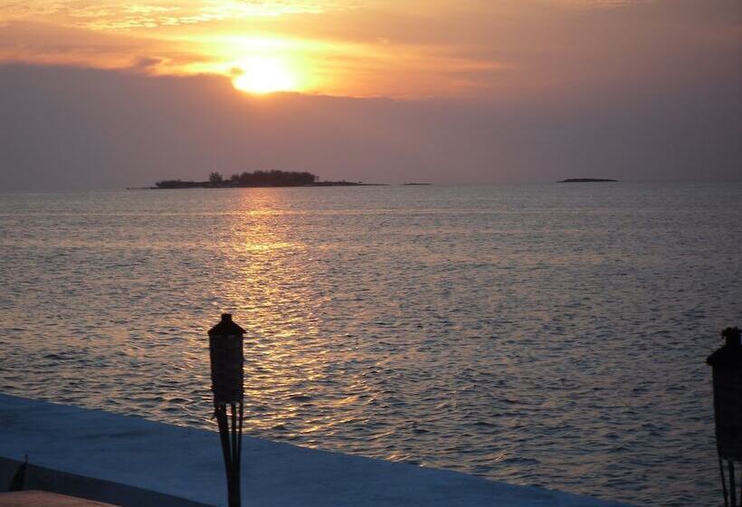 Art Retreat Bahamas Hostel