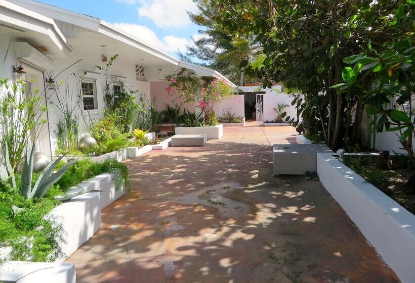 Art Retreat Bahamas Hostel
