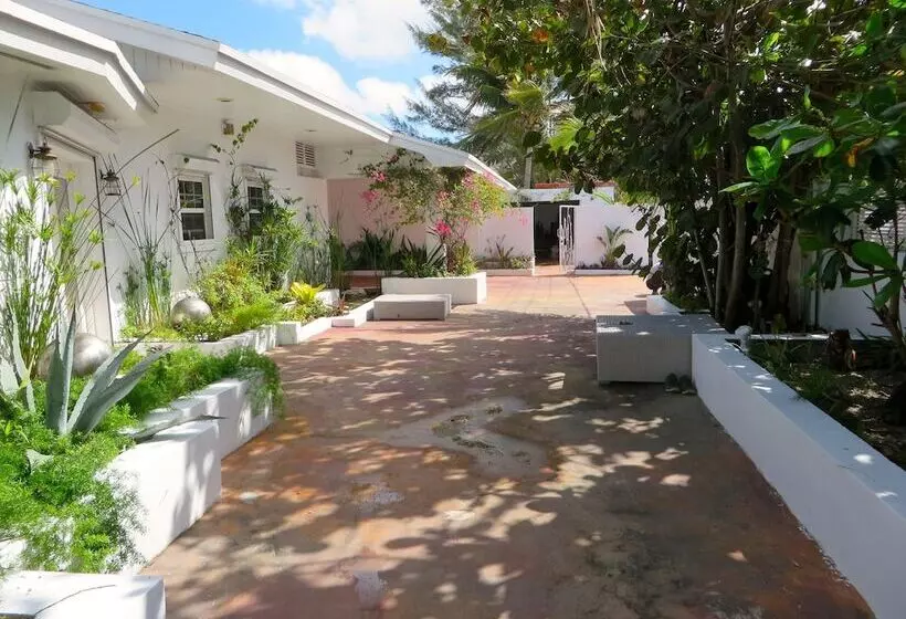Art Retreat Bahamas   Hostel