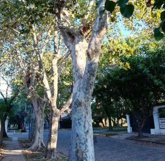 Aamiaismajoitus (B&B) Boutique Casablanca Adrogué