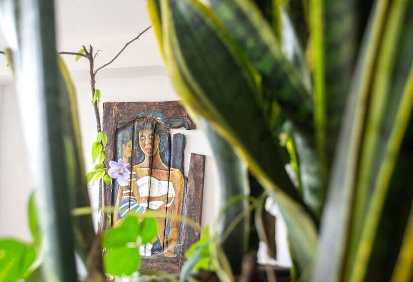 Hotel Boutique Terraza San Antonio