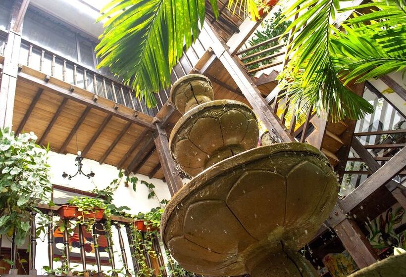 Hotel Boutique Terraza San Antonio