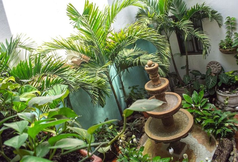 Hotel Boutique Terraza San Antonio