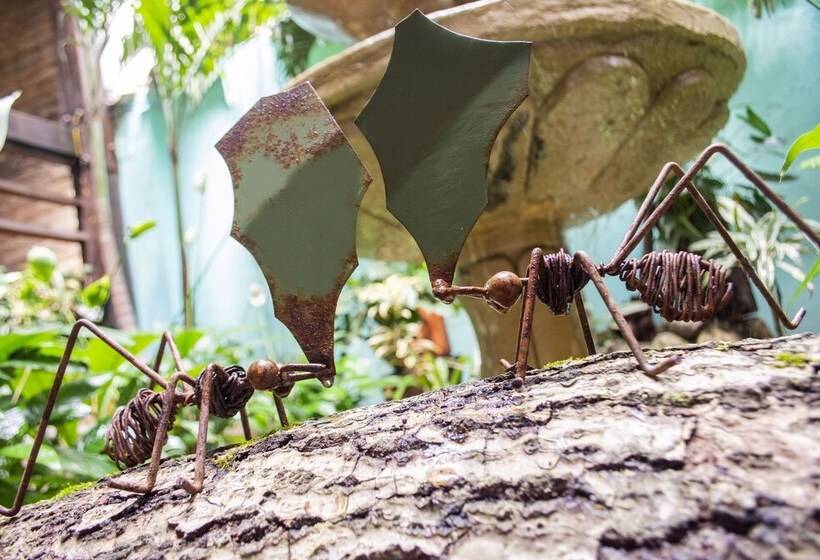 Hotel Boutique Terraza San Antonio