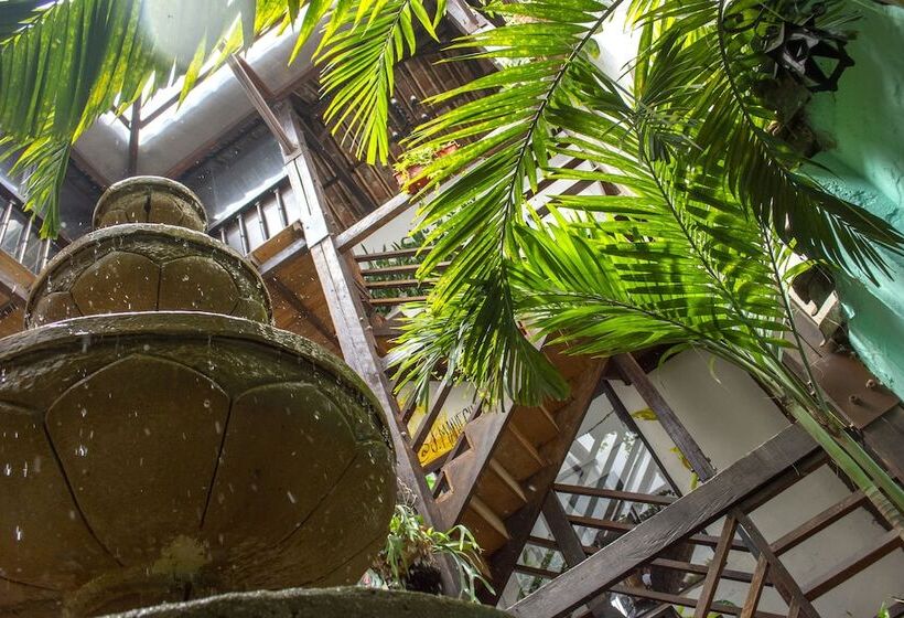 Hotel Boutique Terraza San Antonio