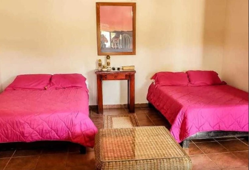 酒店 Cabañas El Potrero