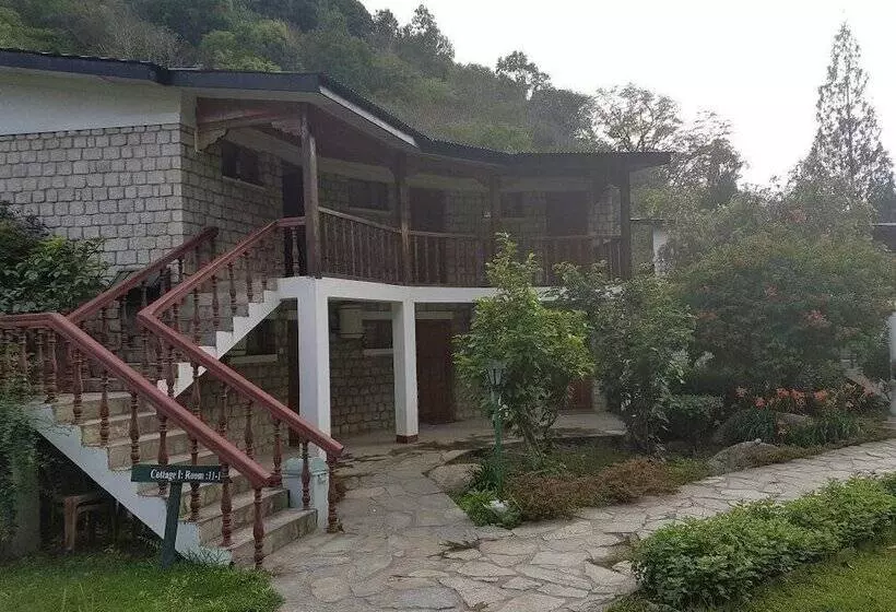هتل Kichu Resort
