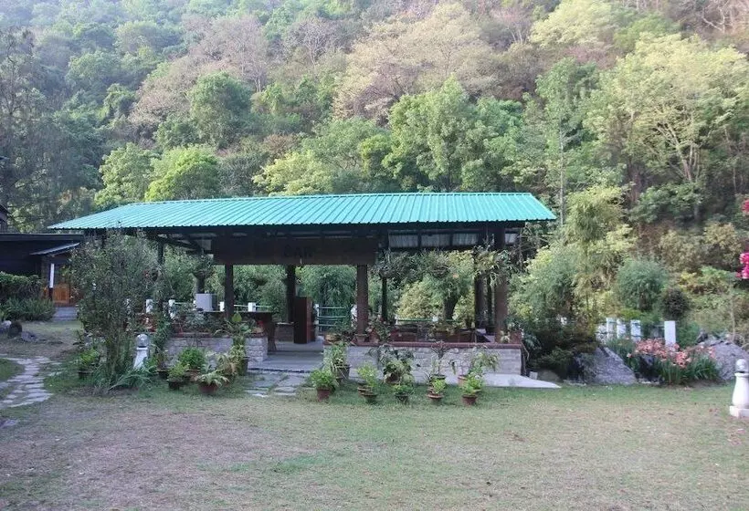هتل Kichu Resort