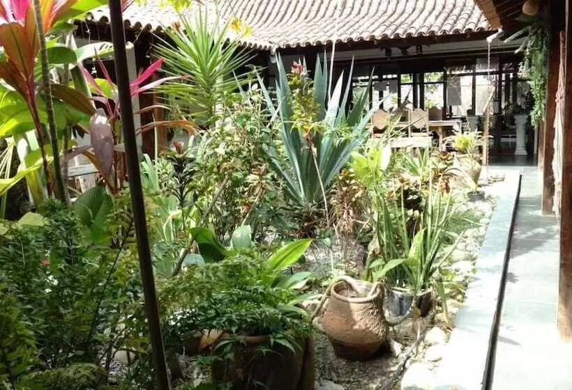 ホテル Pousada Porto Escondido