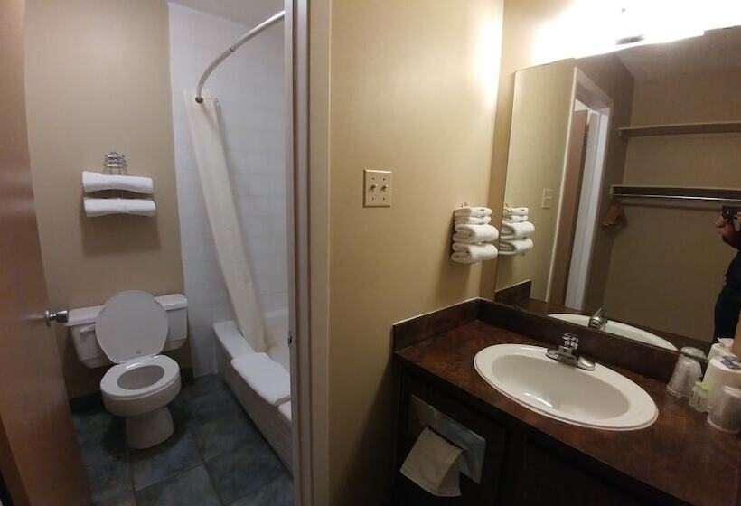 ホテル Vulcan Country Inn