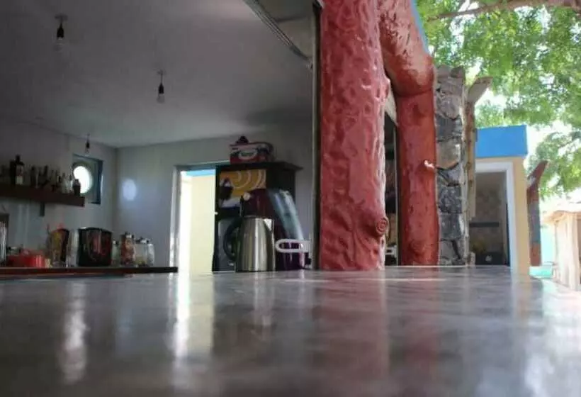 Majatalo Tom S Garden