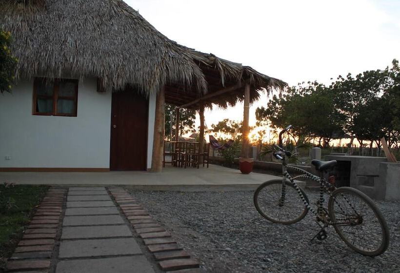 پانسیون Wild Waves Surf House