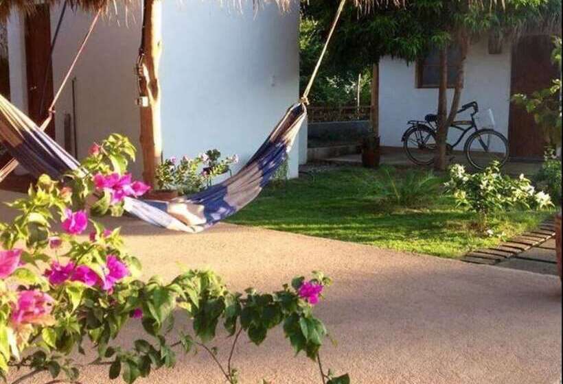 پانسیون Wild Waves Surf House