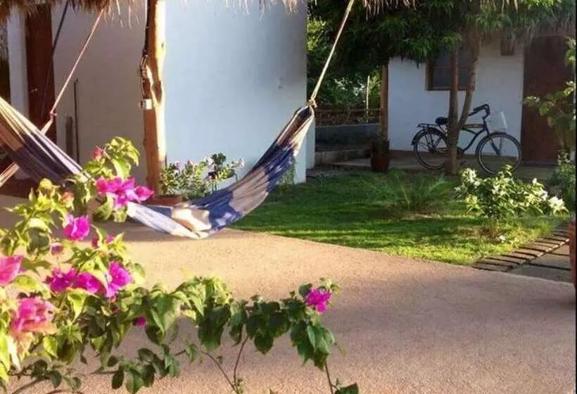 پانسیون Wild Waves Surf House