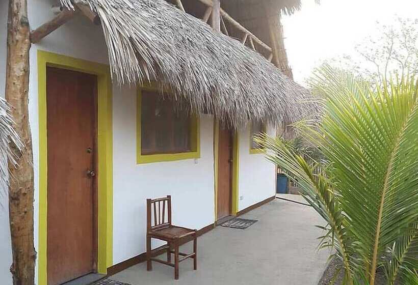 پانسیون Wild Waves Surf House