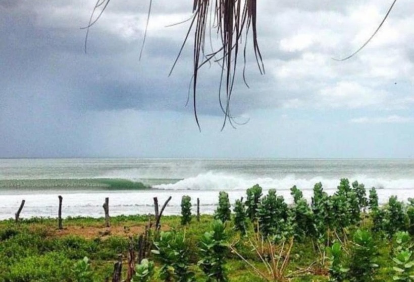 پانسیون Wild Waves Surf House