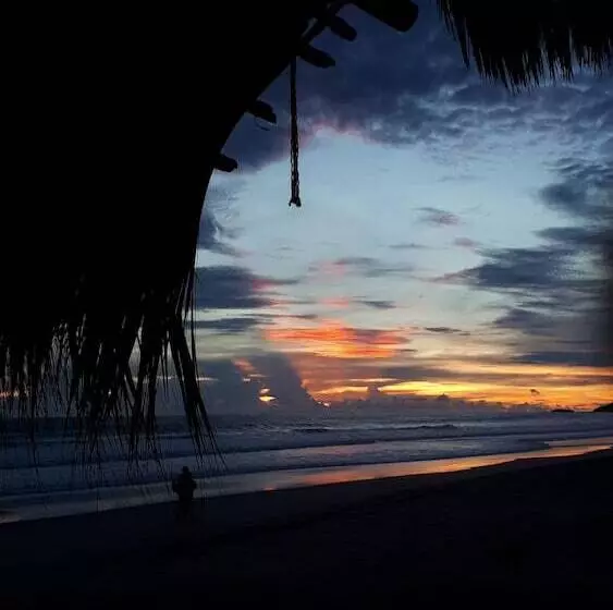 پانسیون Wild Waves Surf House