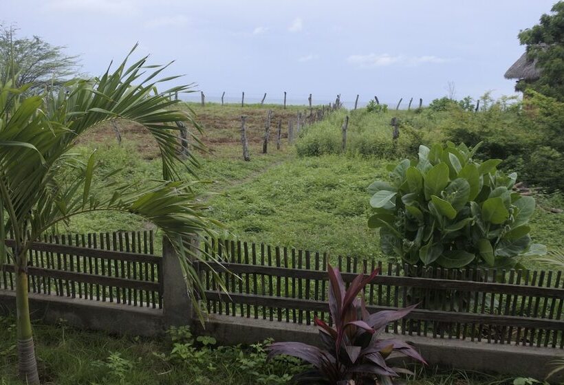 پانسیون Wild Waves Surf House