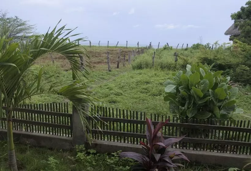 پانسیون Wild Waves Surf House