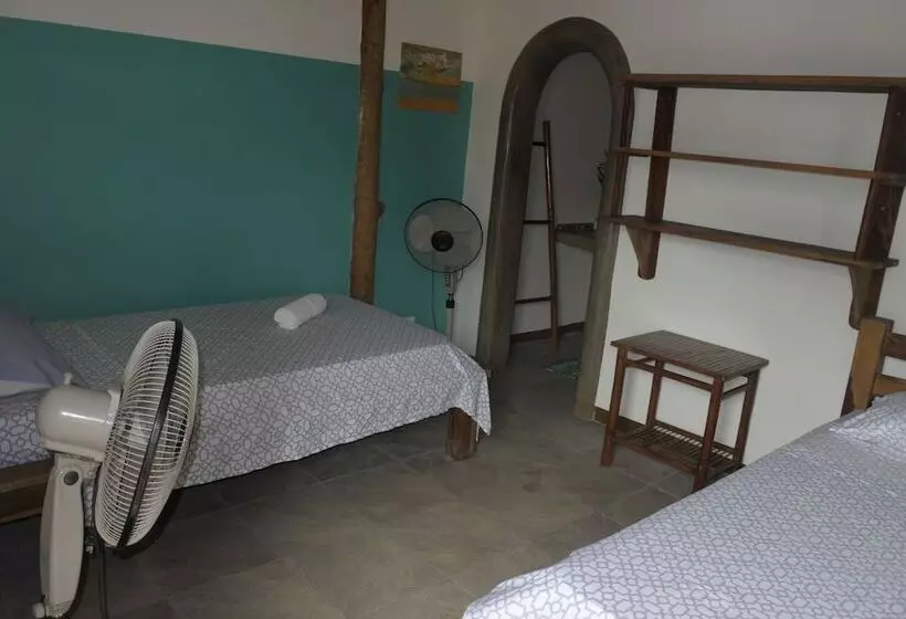 پانسیون Wild Waves Surf House