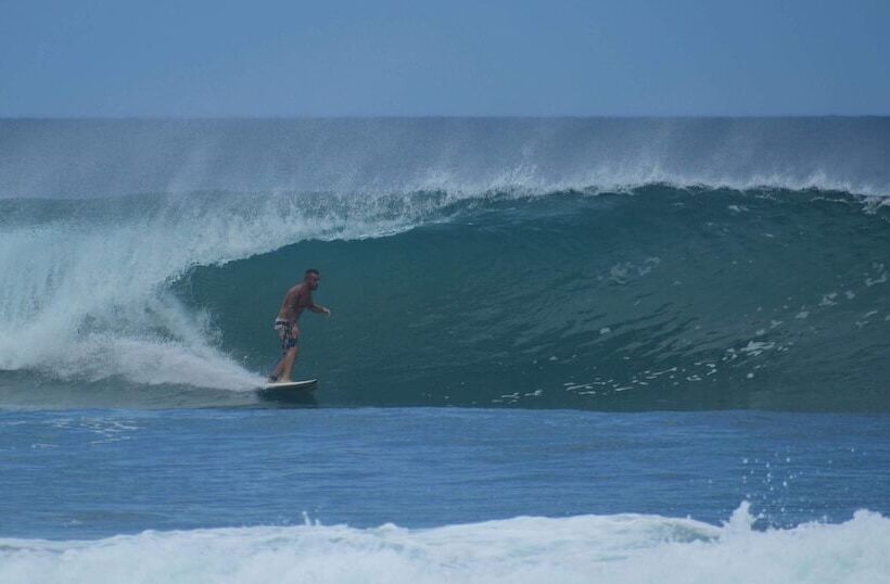 پانسیون Wild Waves Surf House