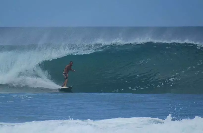 پانسیون Wild Waves Surf House