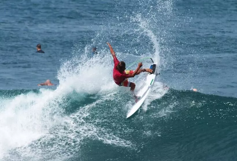 پانسیون Wild Waves Surf House