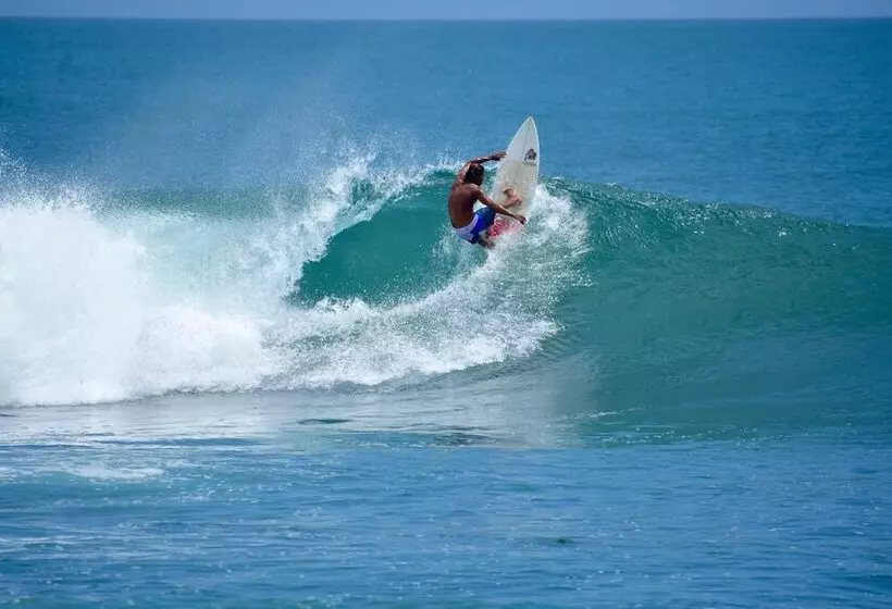 پانسیون Wild Waves Surf House