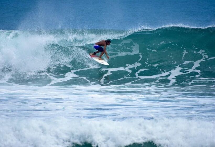 پانسیون Wild Waves Surf House