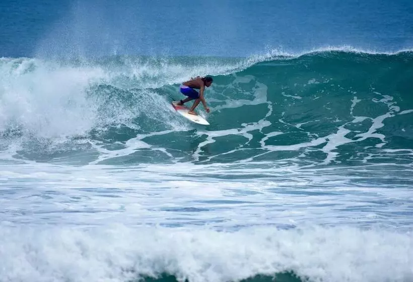 پانسیون Wild Waves Surf House