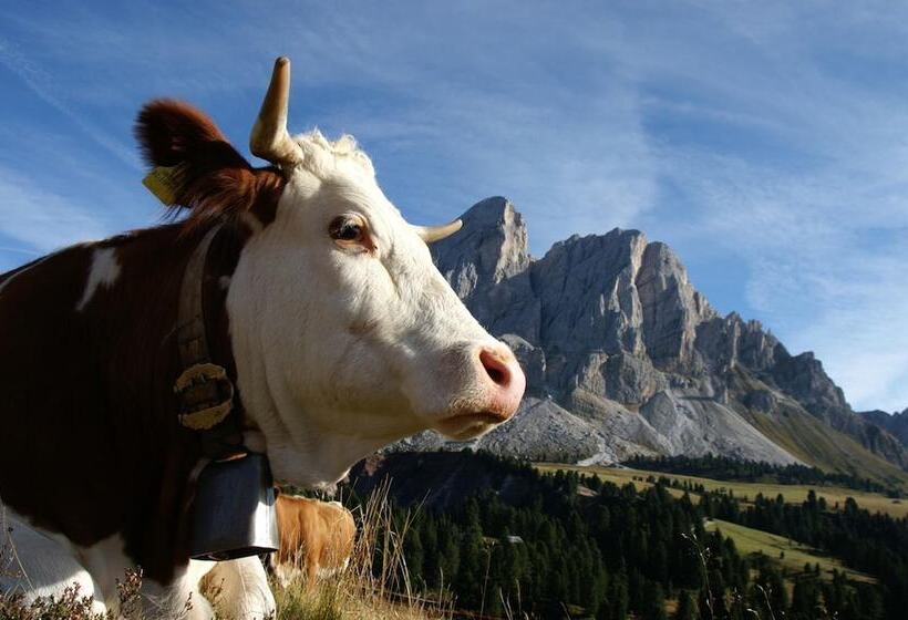 Pension Panorama Elisabeth