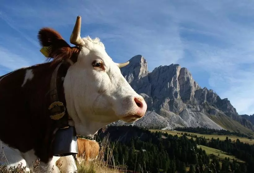 Pension Panorama Elisabeth